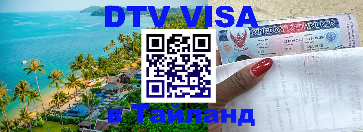 Сколько стоит DTV виза — актуальные цены, оформление даже без документов - 20.11.2025 